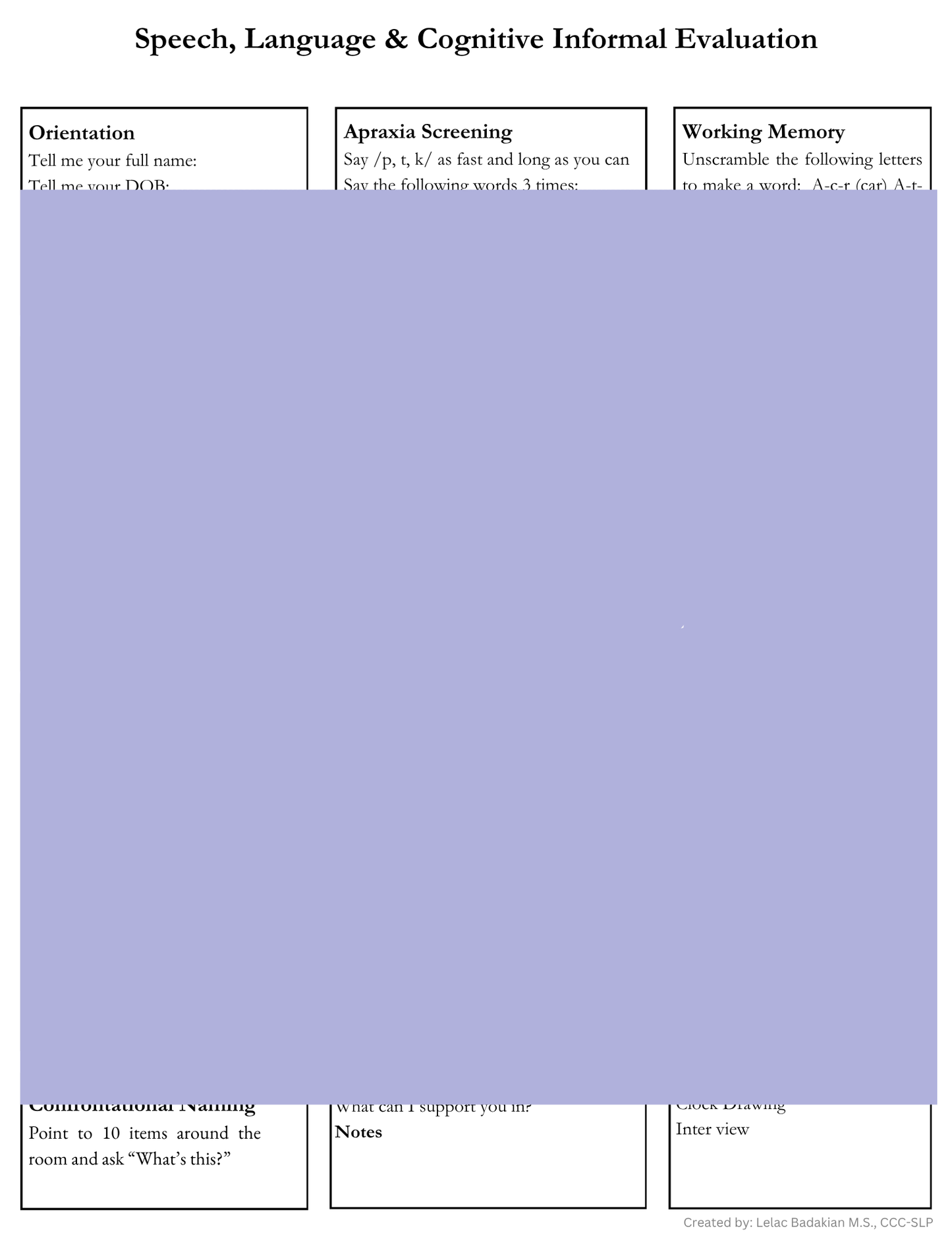 Informal Cognitive Evaluation (digital download)